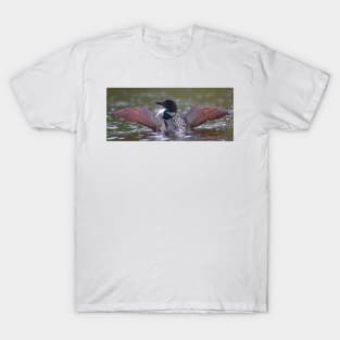 Loon Stretch - Common Loon T-Shirt